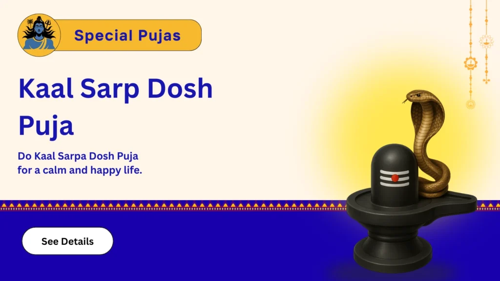 Kaal Sarp Dosh Pujas