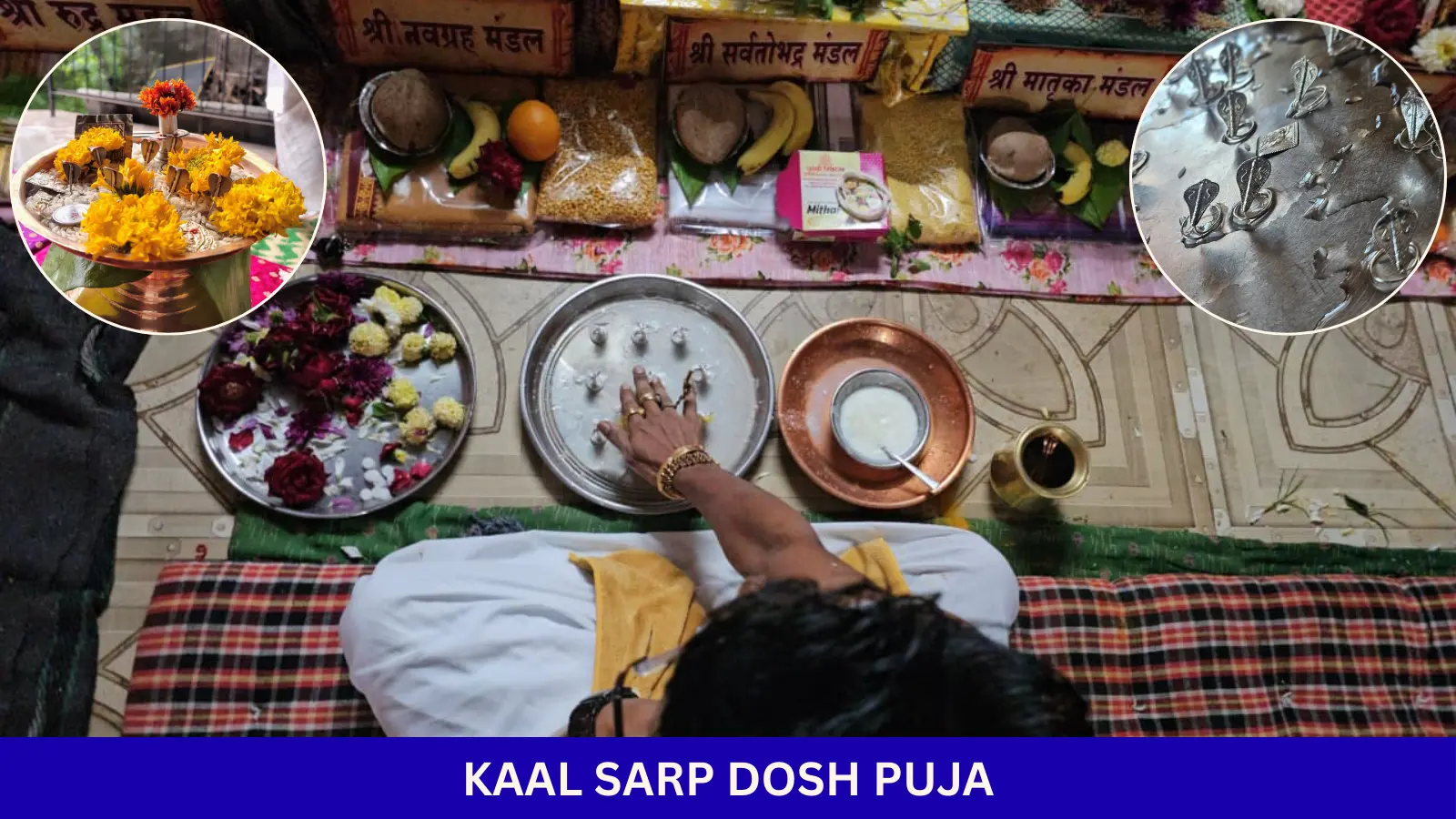 KAAL SARPA DOSH PUJA